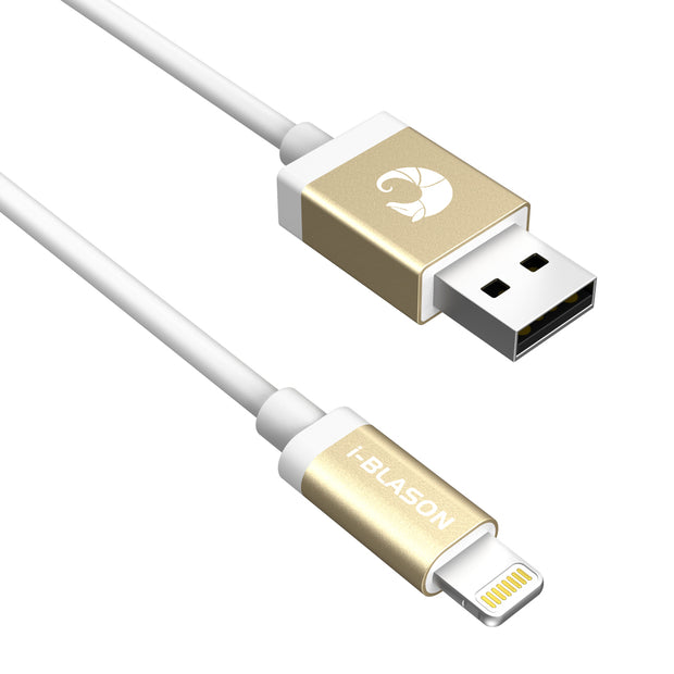 6ft Lightning Cable for Apple Devices - White
